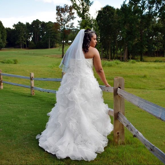 Davids Bridal Wedding Gown - Picture 6 of 6